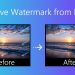 Can-I-remove-watermark-from-the-image-I-purchased