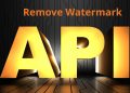 Best remove watermark API