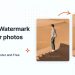What watermarks can Dewatermark.ai remove? A detailed breakdown