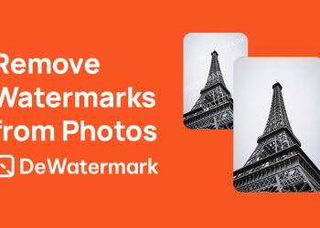 what-is-dewatermark-api