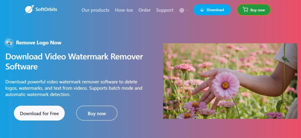 Video watermark remover softorbits