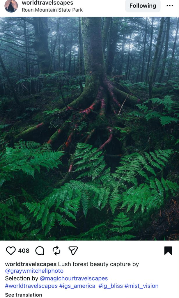 credit-images-on-instagram